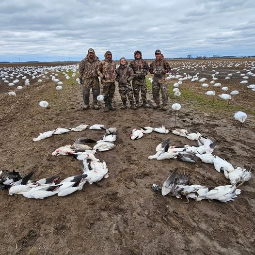 Late Season Duck Story