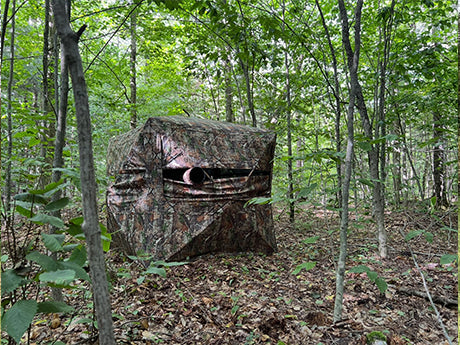 TideWe Hunting Blind Review