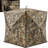 V,main