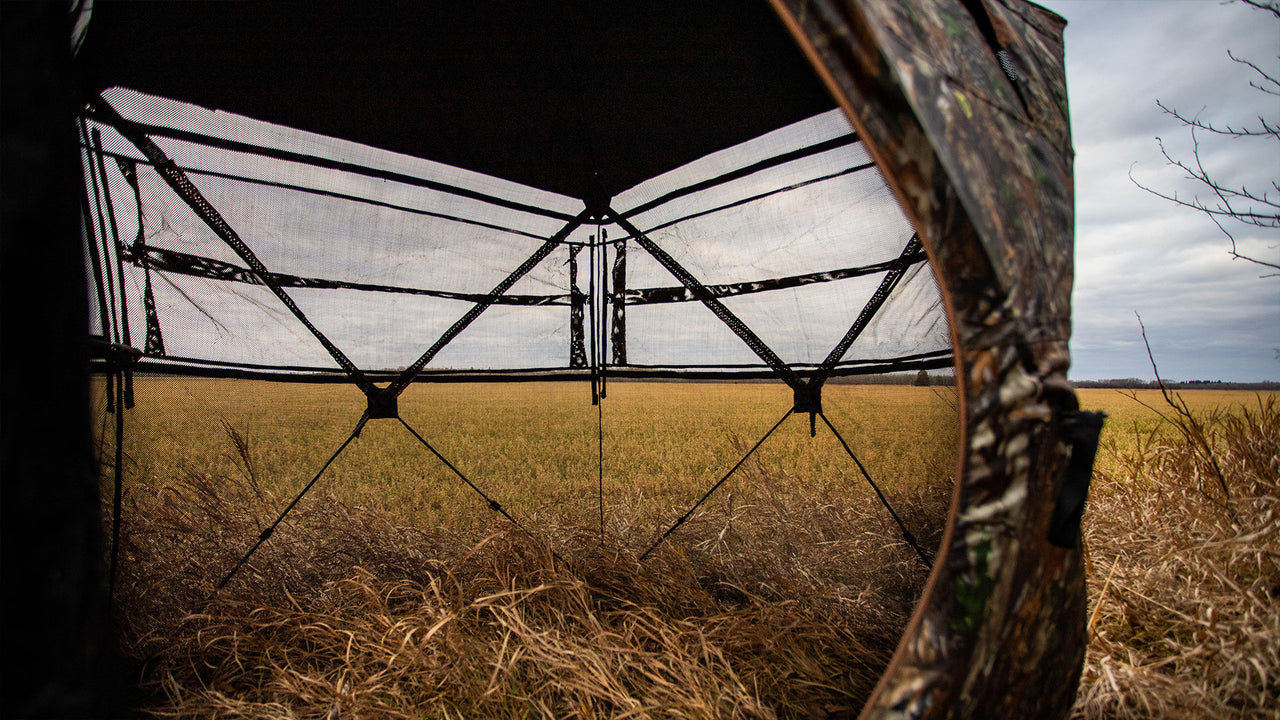 BaseCamp Blind Series