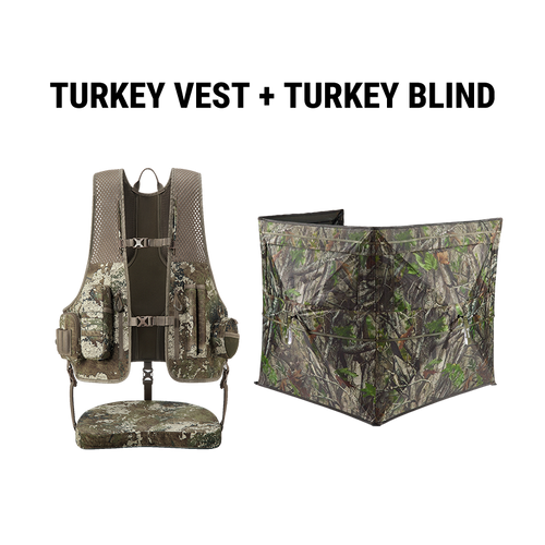 V, main, TRUETIMBER Strata