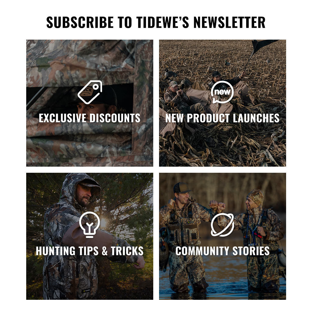 Tiwe Subscribe - TideWe